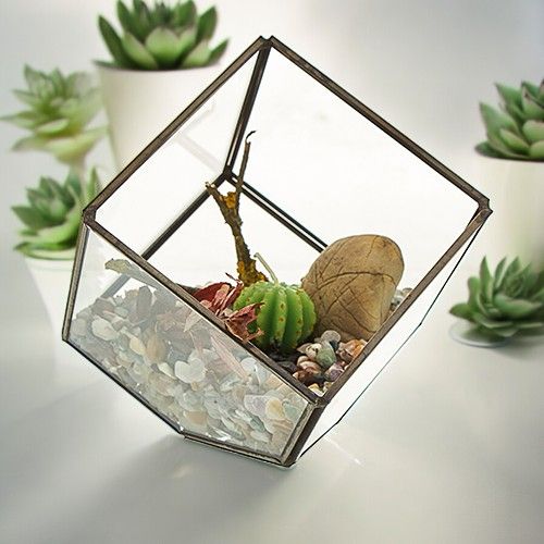 Glass Terrariums