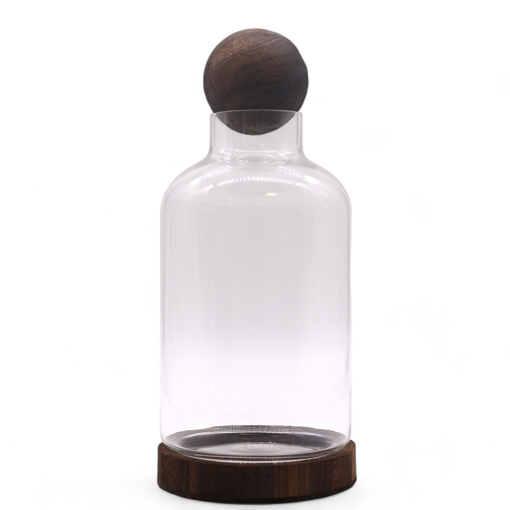 Large Ball Top Terrarium on Dark Tung Wood
