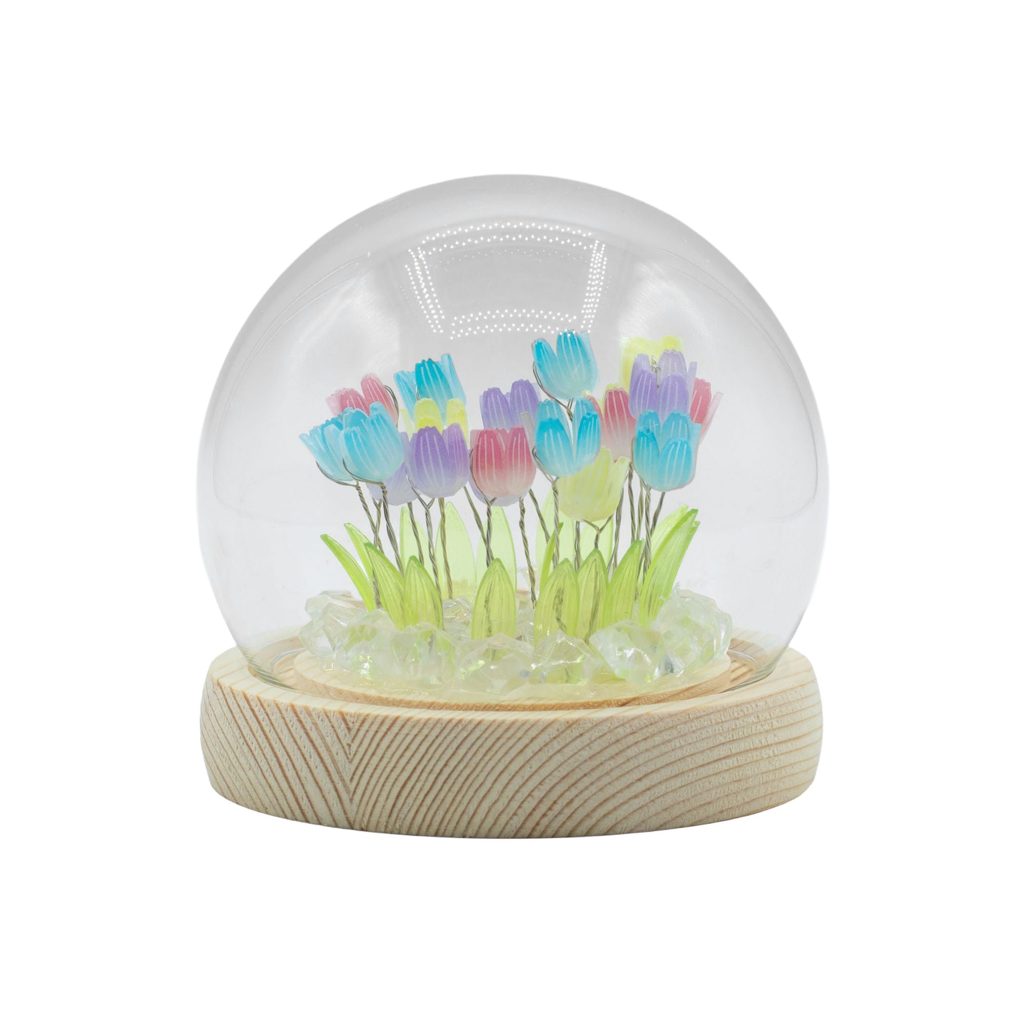 Floral Glow Garden Dome - 20 Multi Tulips