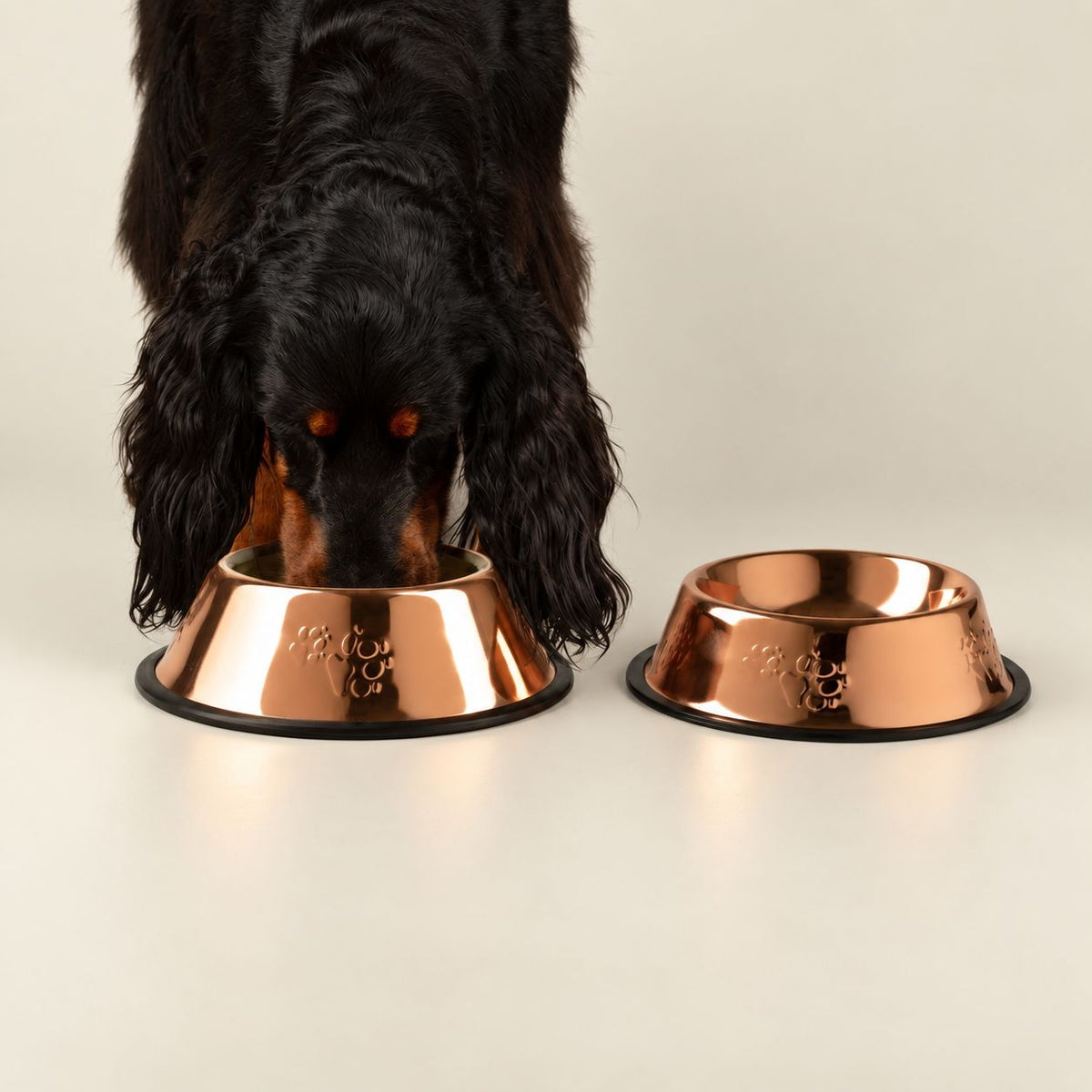 PAW Food Bowls - Single Copper Style - 18cm - Stainless Steel (304)
