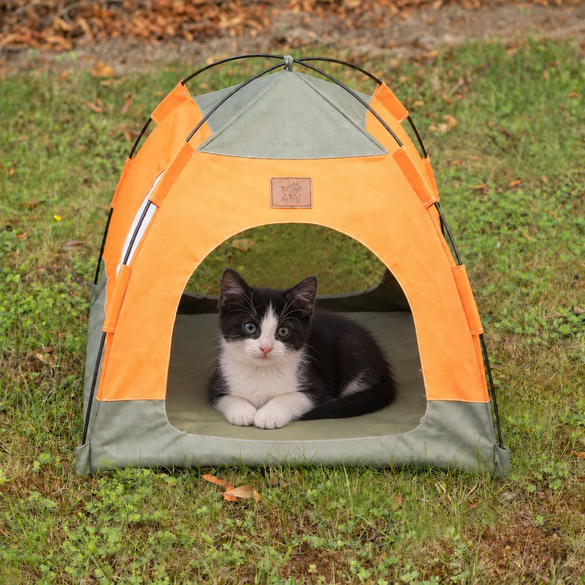 PAW Bed – Green & Orange Tent – 48 × 48 × 40cm