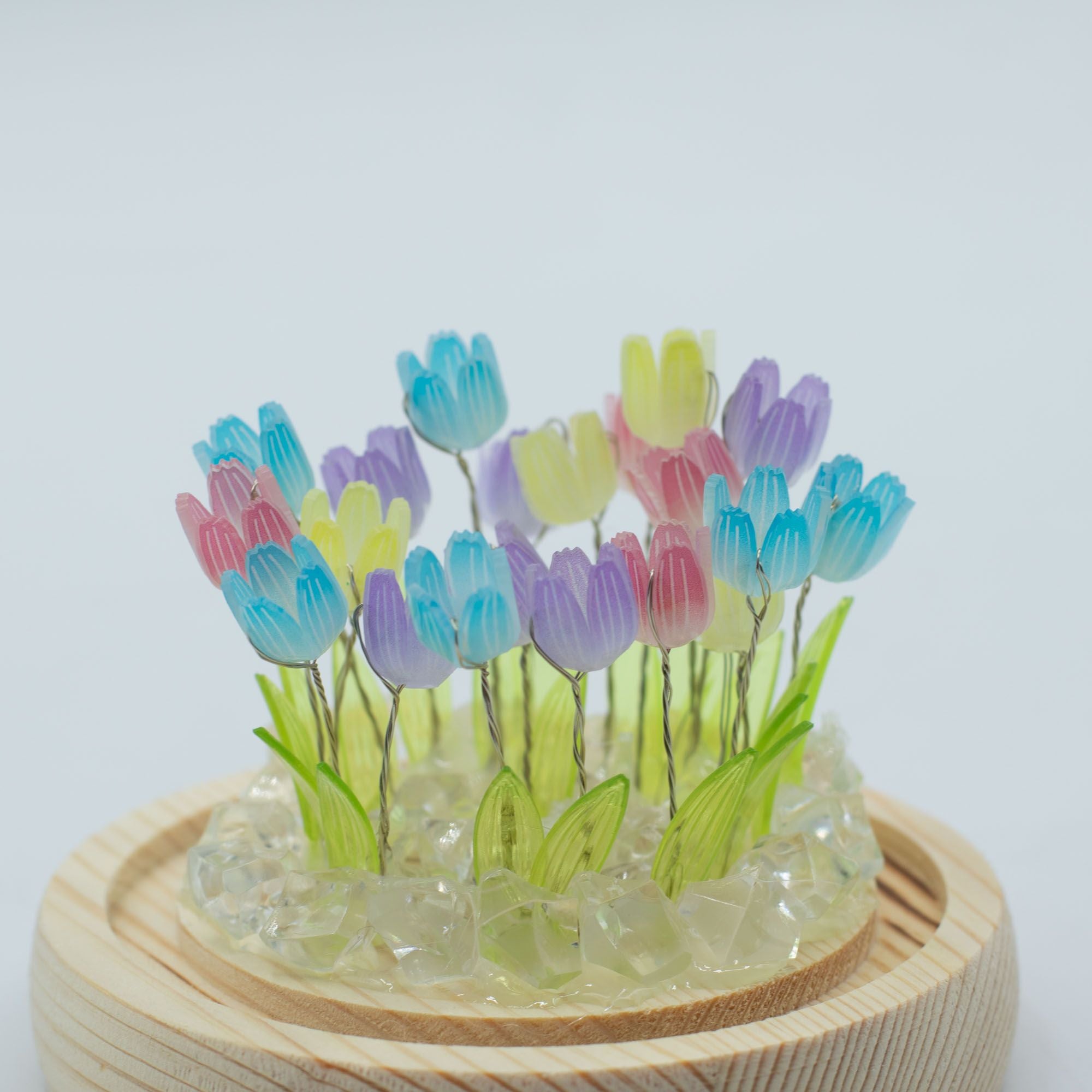 Floral Glow Garden Dome - 20 Multi Tulips