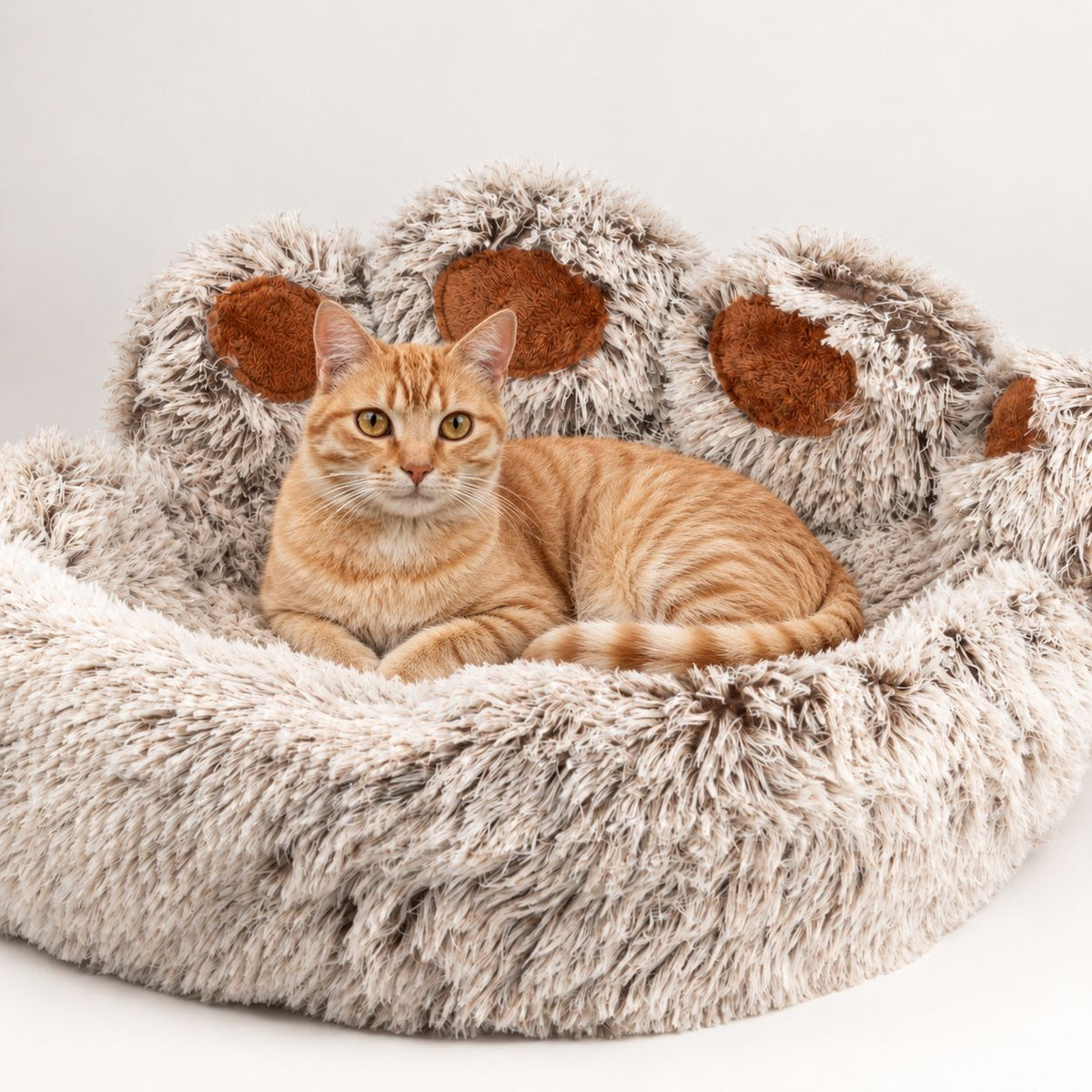 PAW Bed – Large Big Paw – 70cm