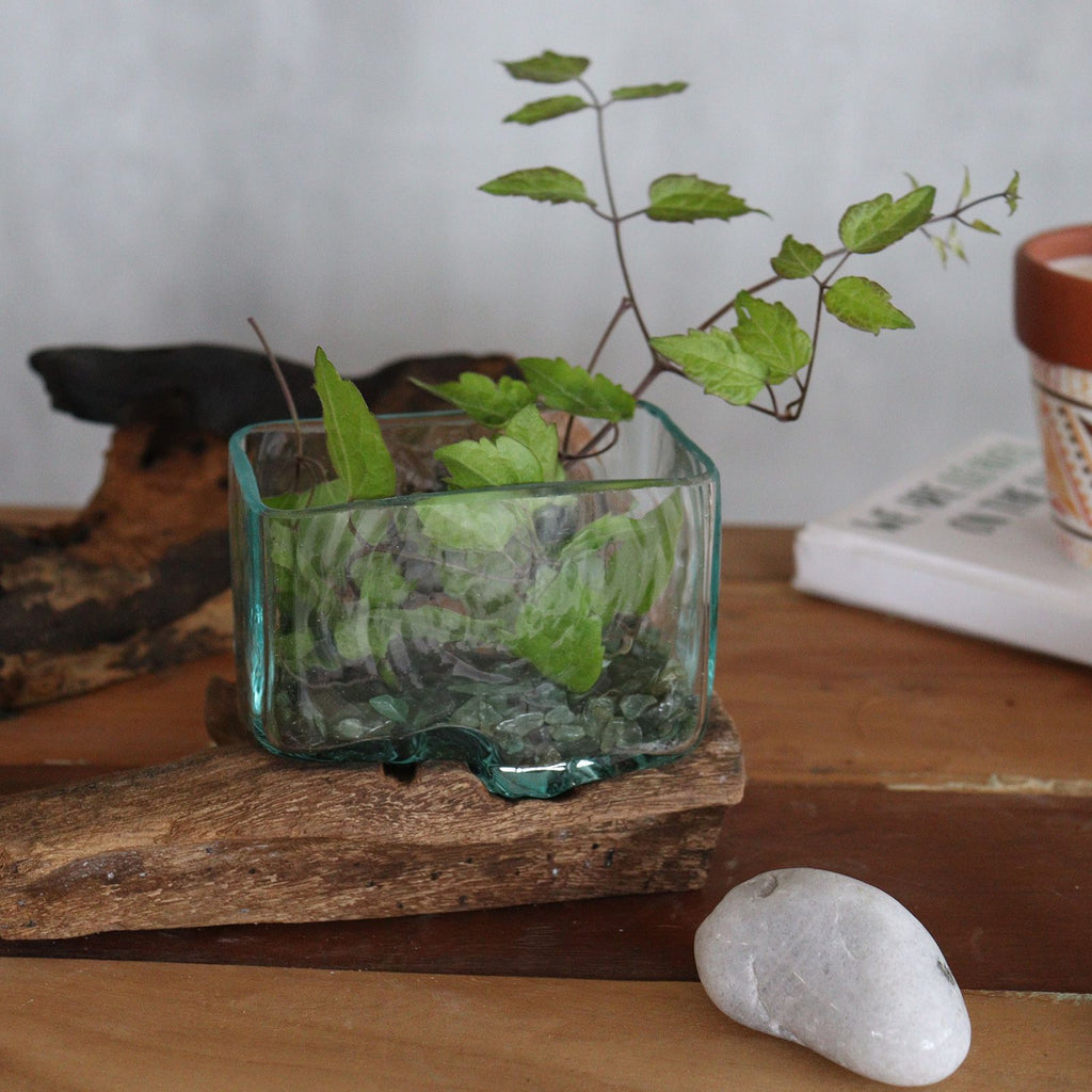 Molten Glass Tank on Wood with Stand - Medium Bowl | Molten Glass Decor