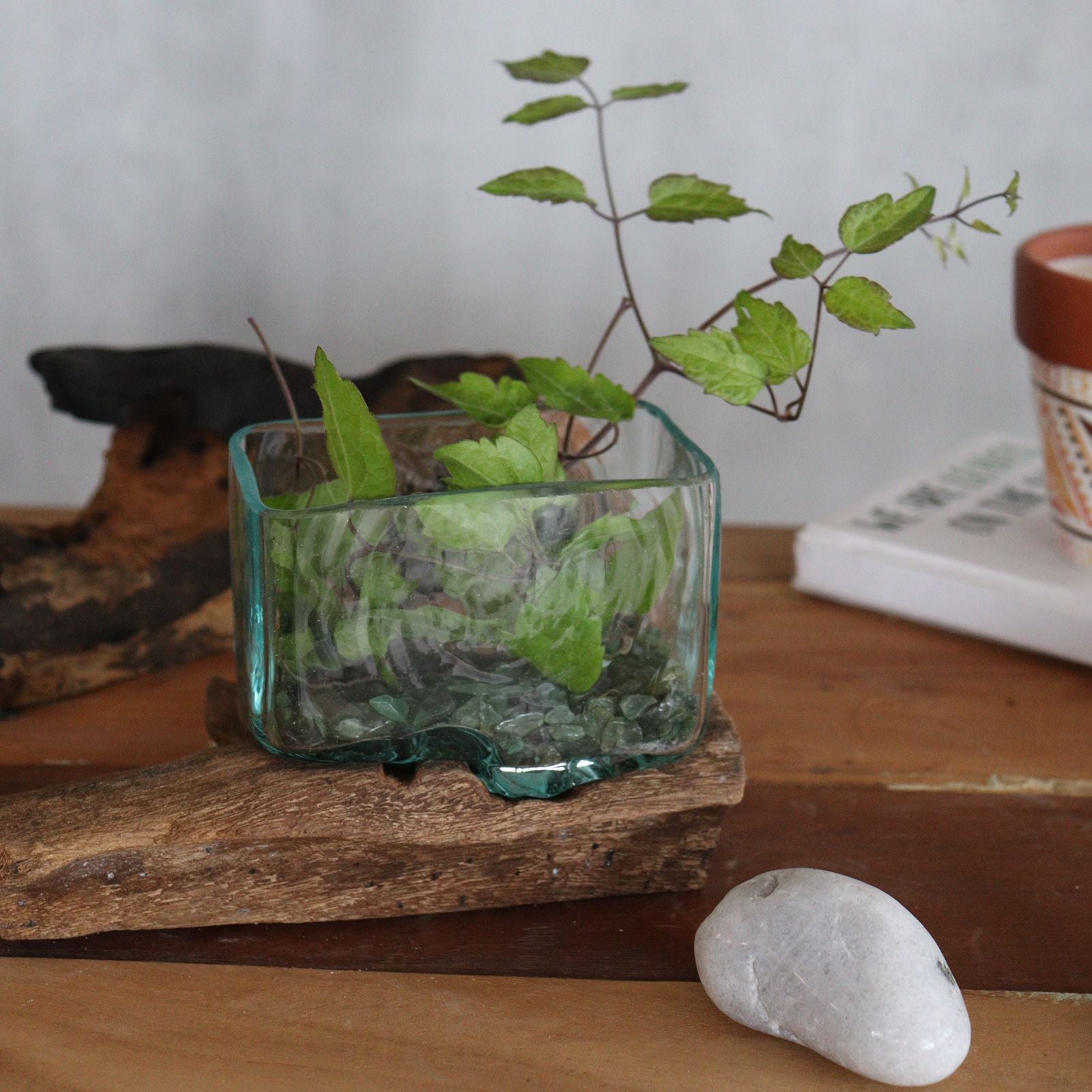Molten Glass Tank on Wood with Stand - Medium Bowl | Molten Glass Decor
