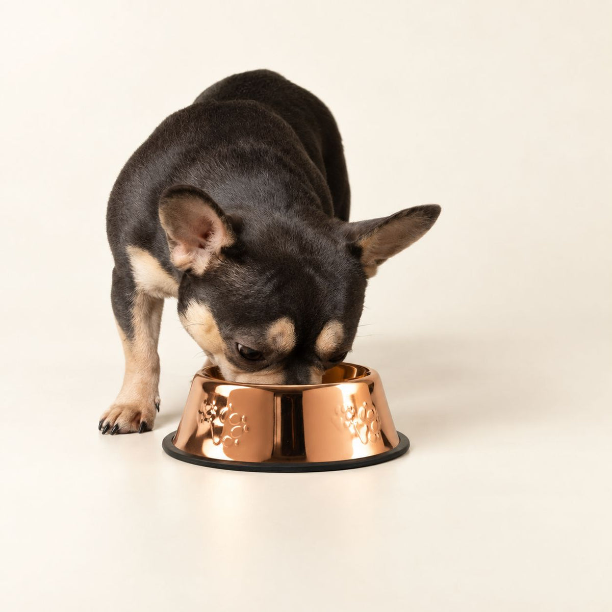 PAW Food Bowls - Single Copper Style - 18cm - Stainless Steel (304)