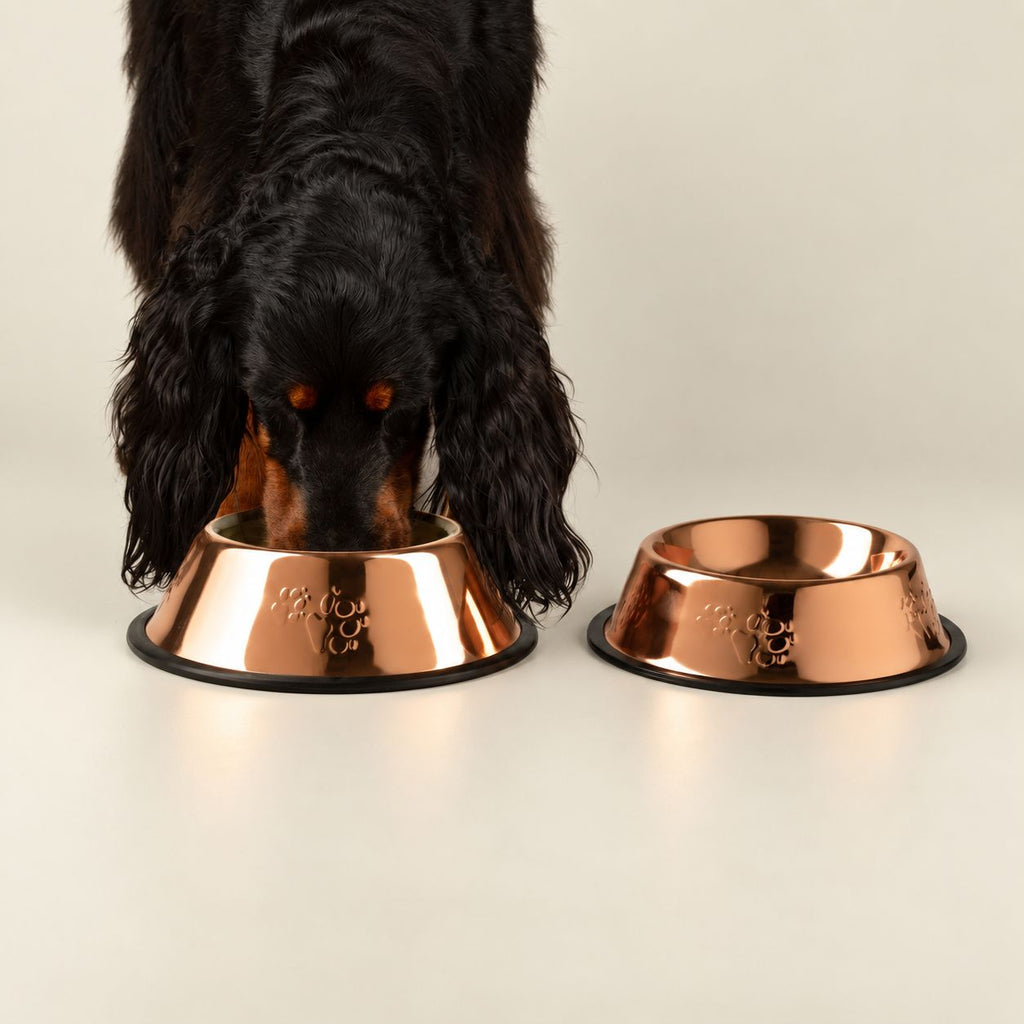 PAW Food Bowls -  Single Copper Style - 22cm - Stainless Steel (304)
