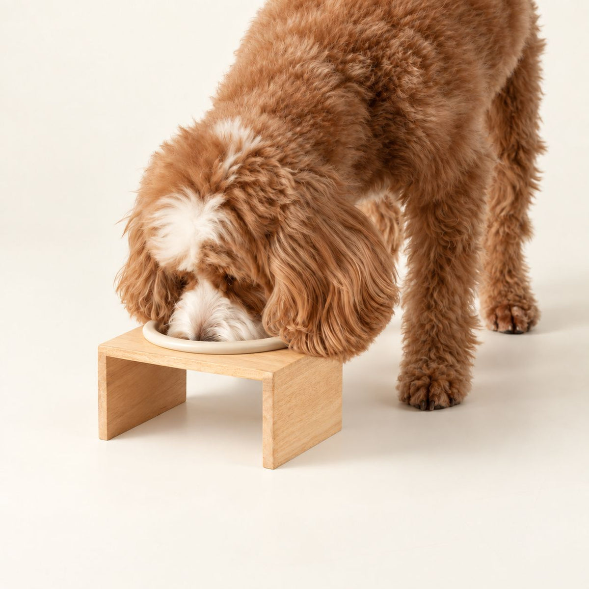 PAW Food Bowls - Large Single Ceramic in Wooden Stand - 14cm