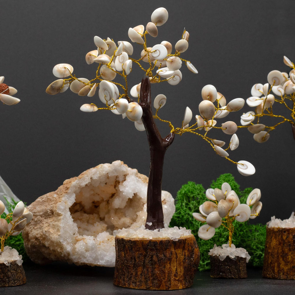 Medium Gomati Chakra Circle Stone Tree - (60 stones)
