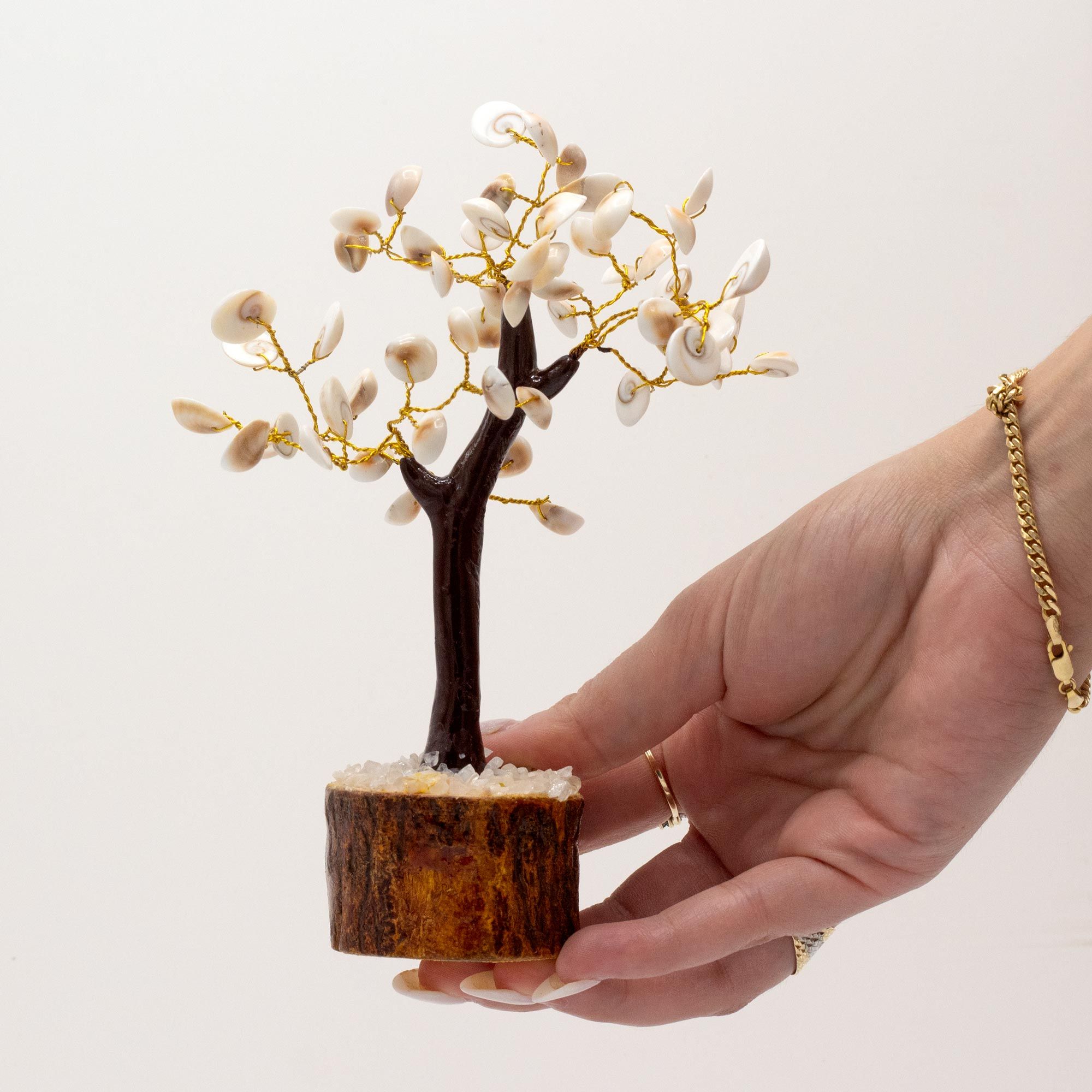 Medium Gomati Chakra Circle Stone Tree - (60 stones)