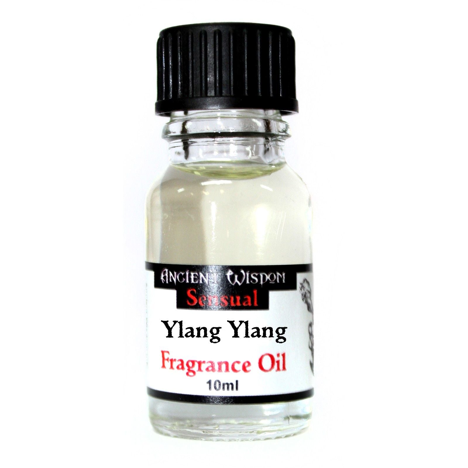 10ml Ylang-Ylang Fragrance Oil (Pack of 5)