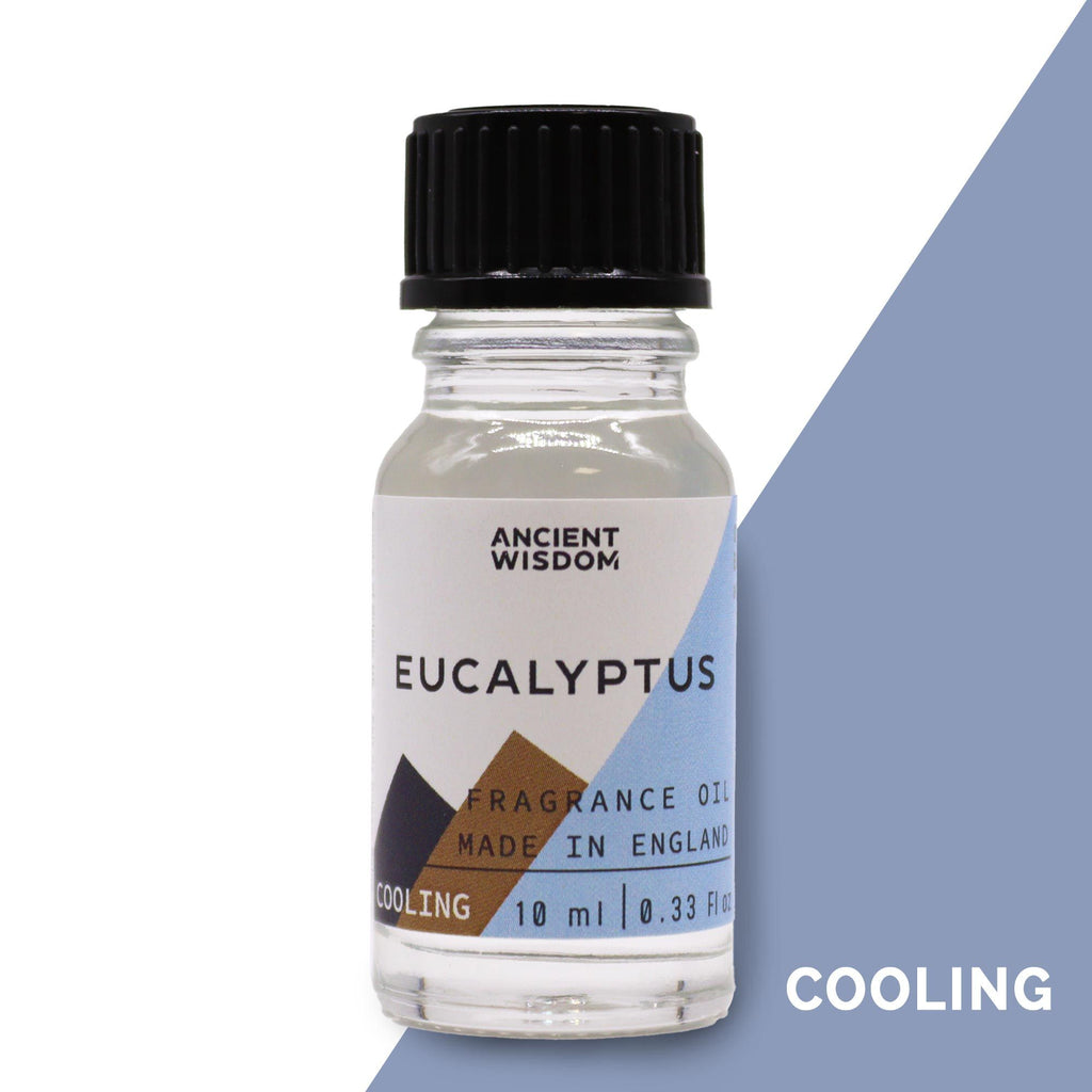 10ml Eucalyptus Fragrance Oil (Pack of 5)