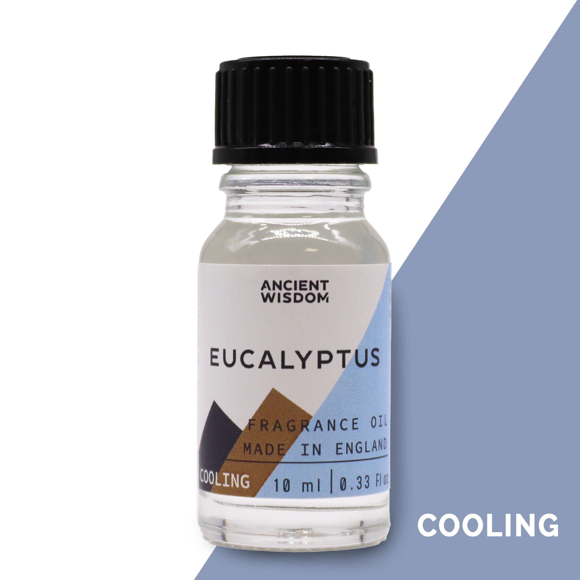 10ml Eucalyptus Fragrance Oil (Pack of 5)