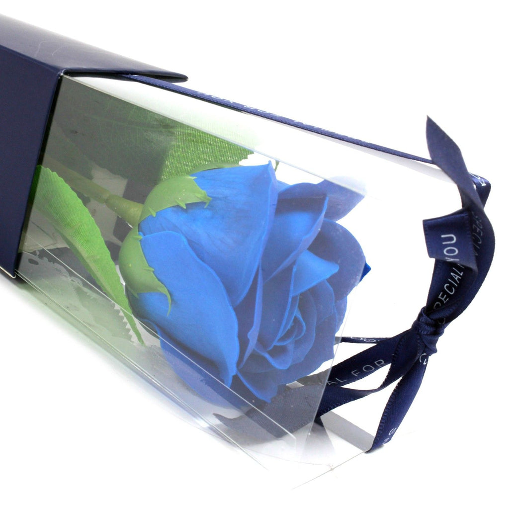 Single Rose