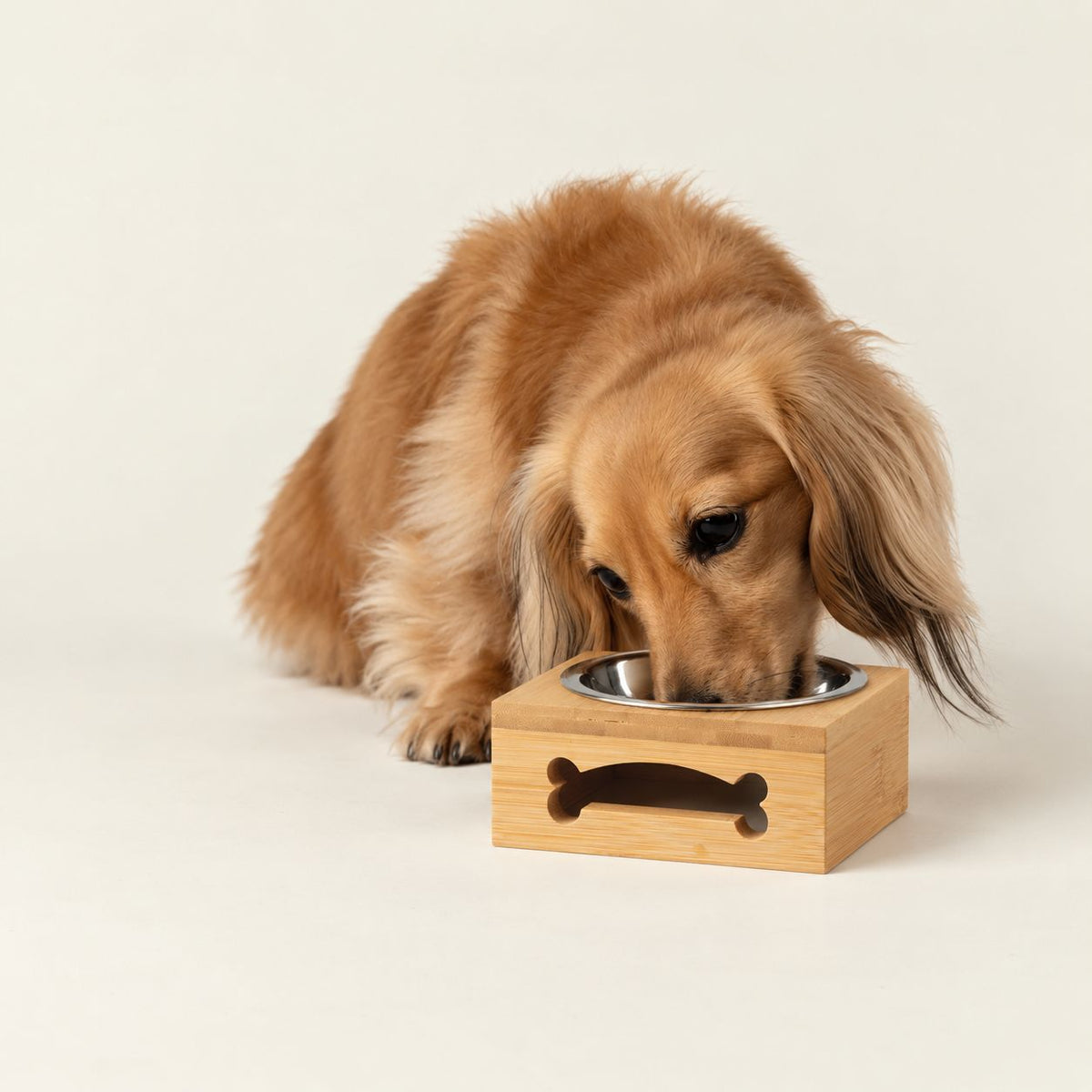 PAW Food Bowls - Single Stainless Steel (201) in Wooden Stand - 12cm
