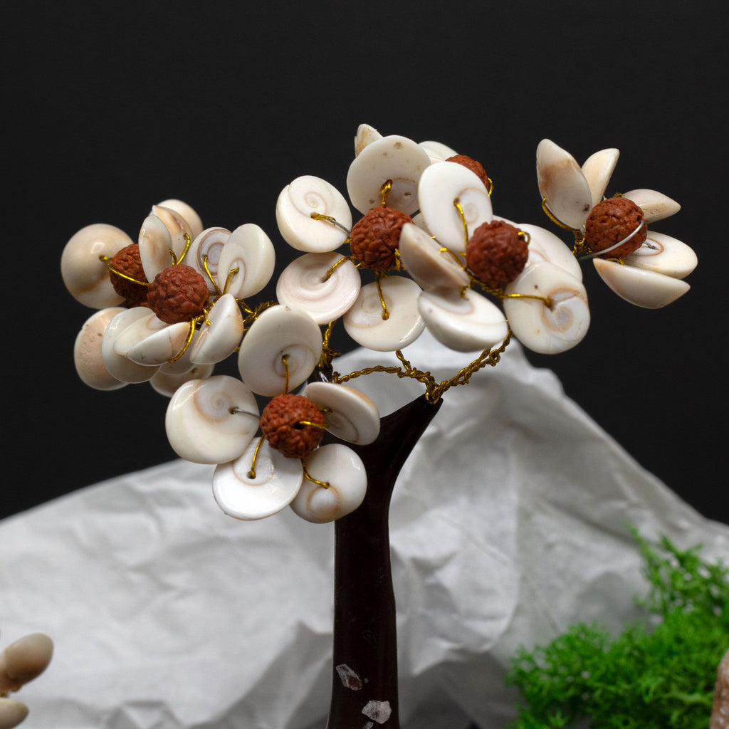 Small Gomati Chakra Circle Stone Tree with Rudraksha - (45 stones)