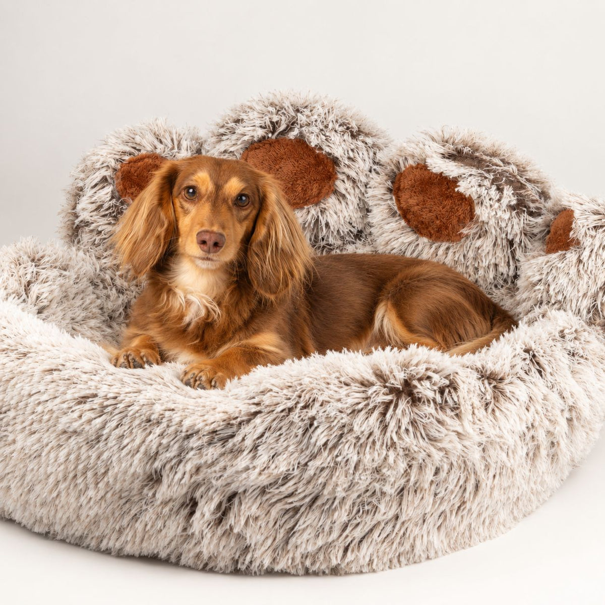 PAW Bed – Large Big Paw – 70cm