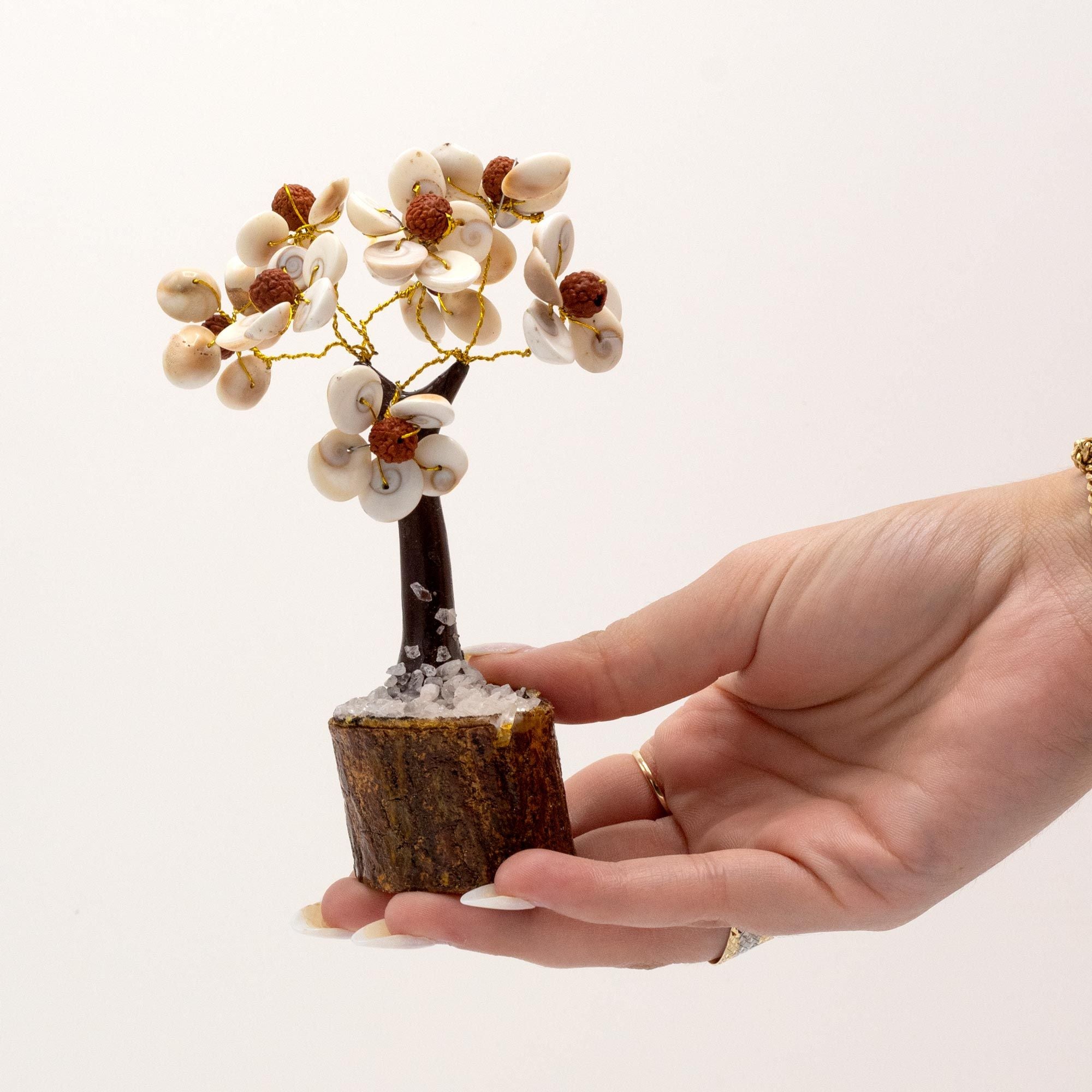 Small Gomati Chakra Circle Stone Tree with Rudraksha - (45 stones)