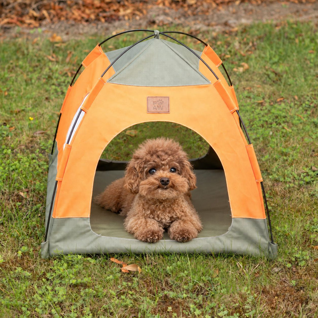 PAW Bed – Green & Orange Tent – 48 × 48 × 40cm