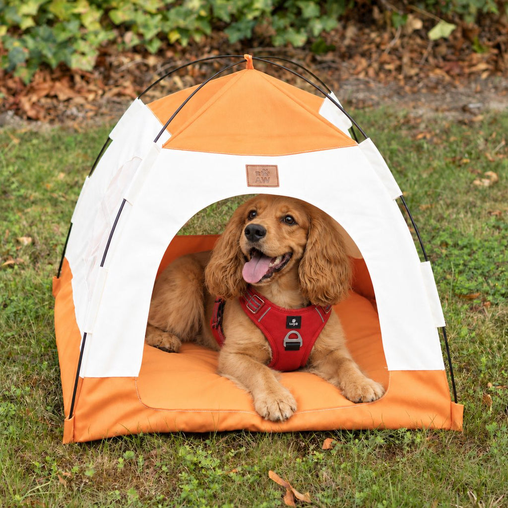 PAW Bed – Beige & Orange Tent – 58 × 58 × 48cm