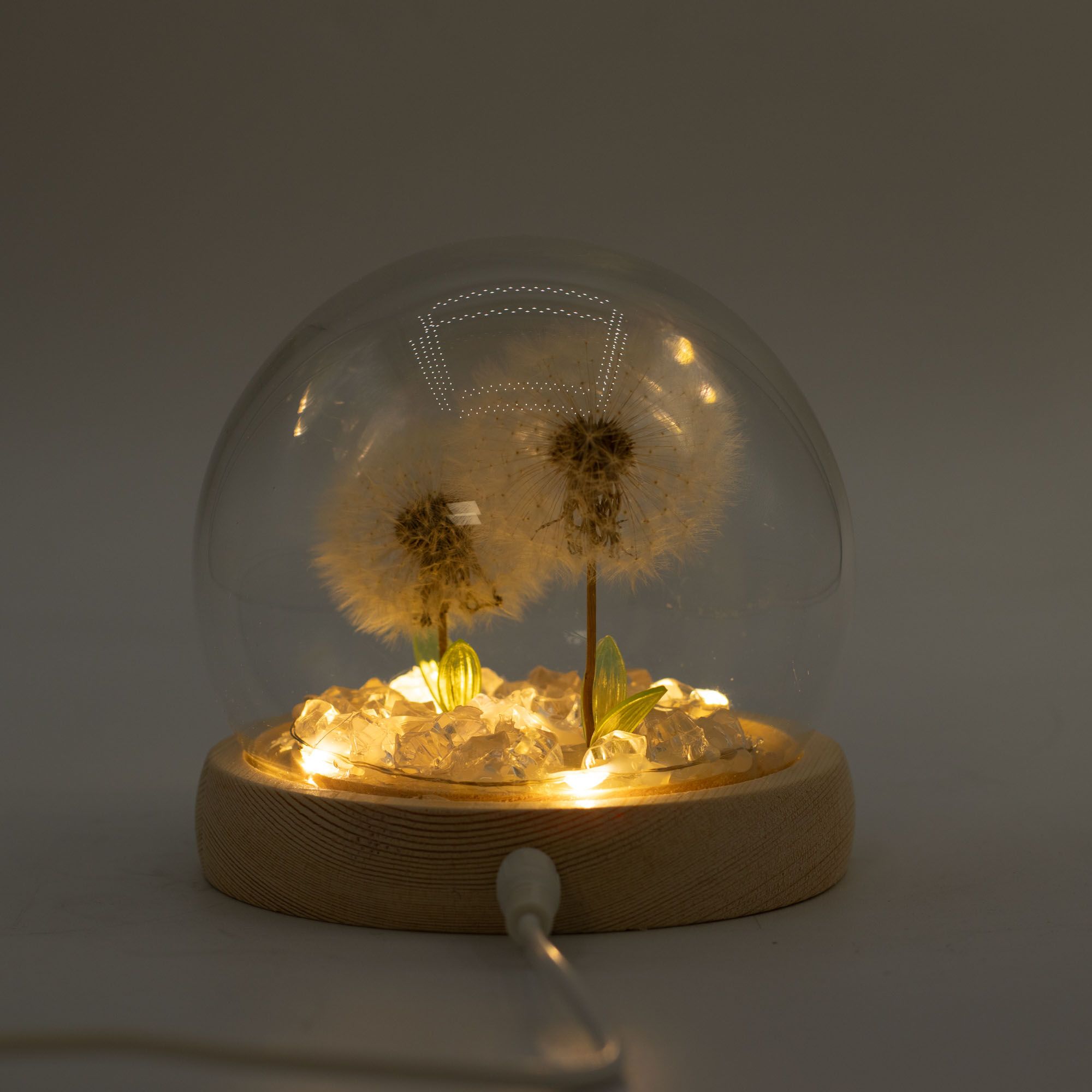 Floral Glow Garden Dome - 2 Dandelions