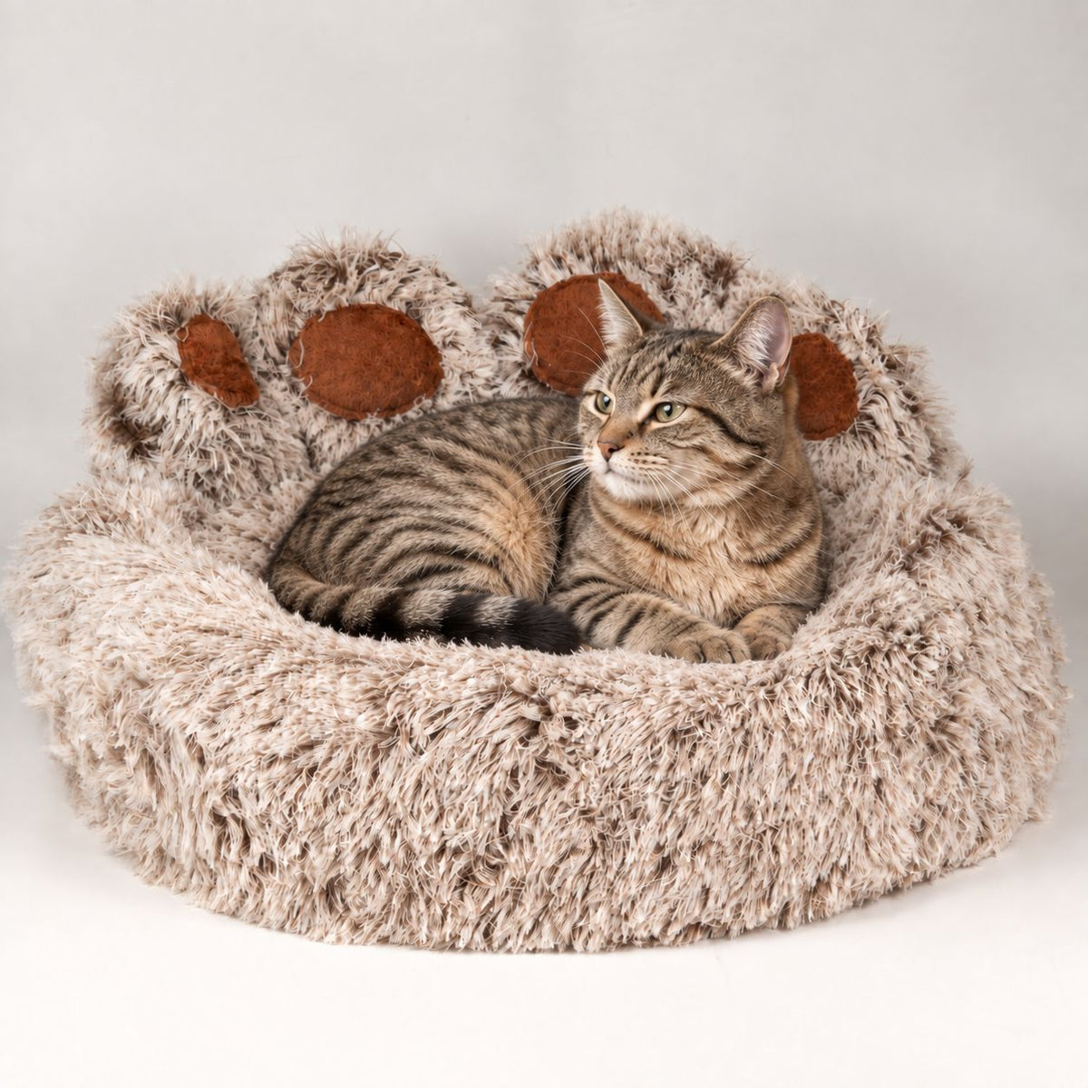PAW Bed – Medium Big Paw – 60cm