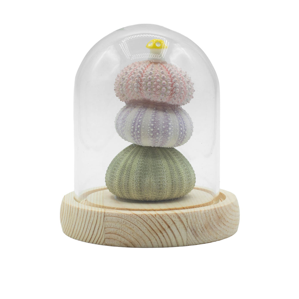 Floral Glow Garden Dome - Sea Urchins