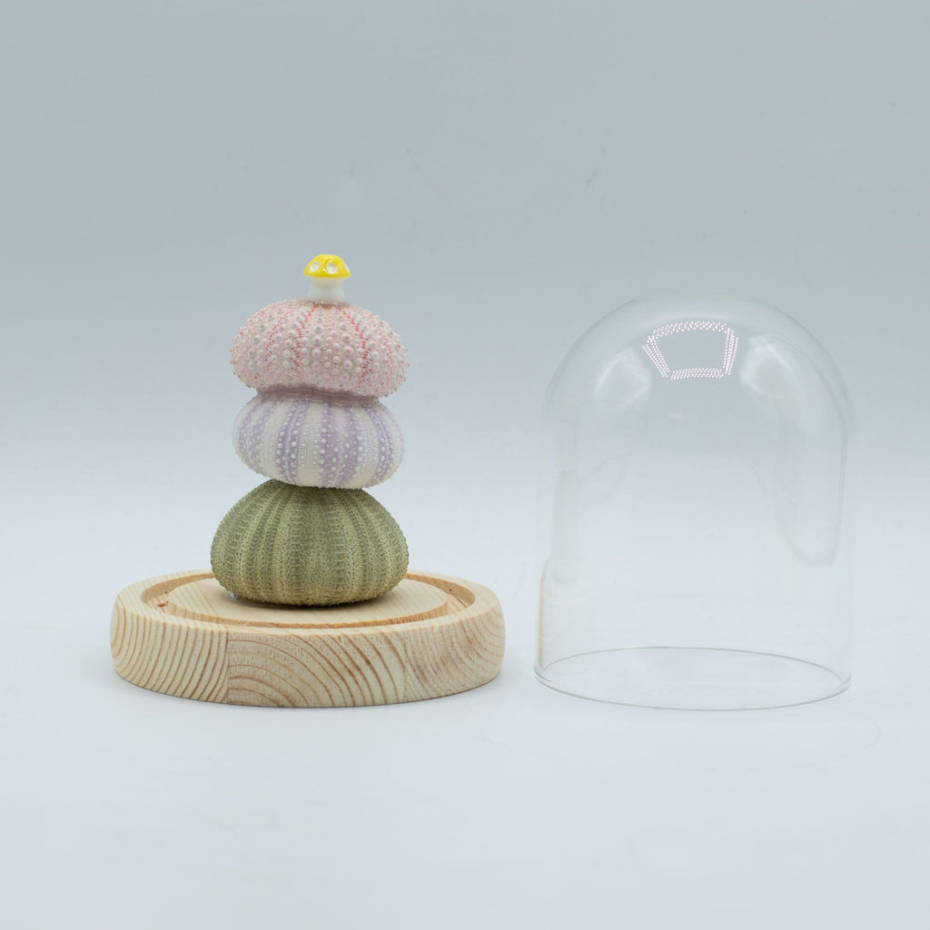 Floral Glow Garden Dome - Sea Urchins