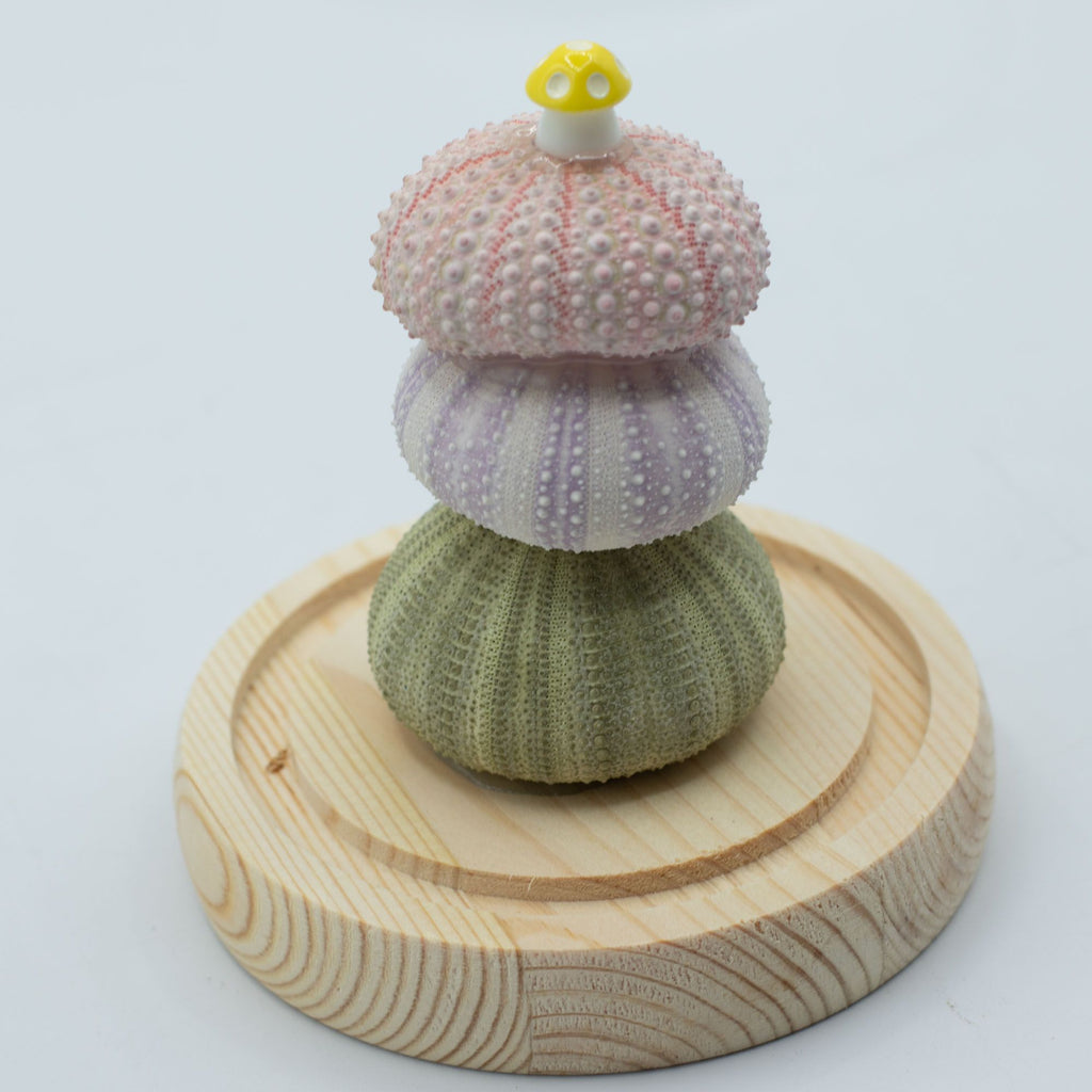 Floral Glow Garden Dome - Sea Urchins
