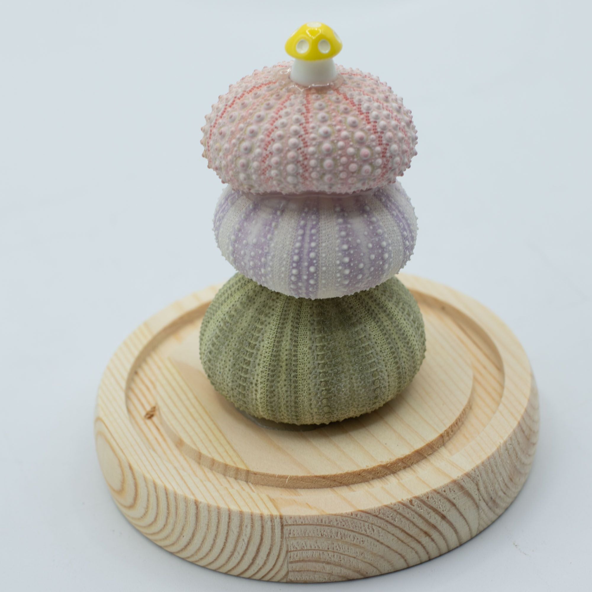 Floral Glow Garden Dome - Sea Urchins