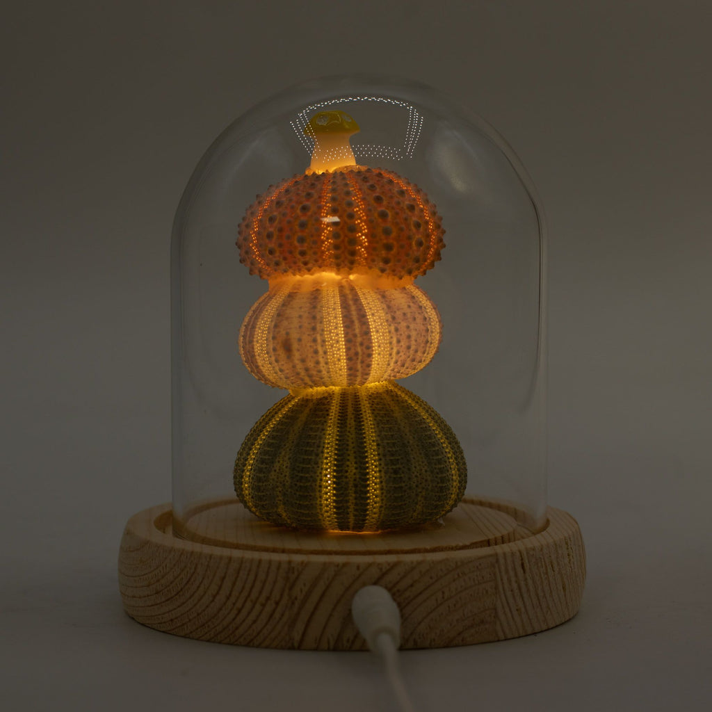 Floral Glow Garden Dome - Sea Urchins