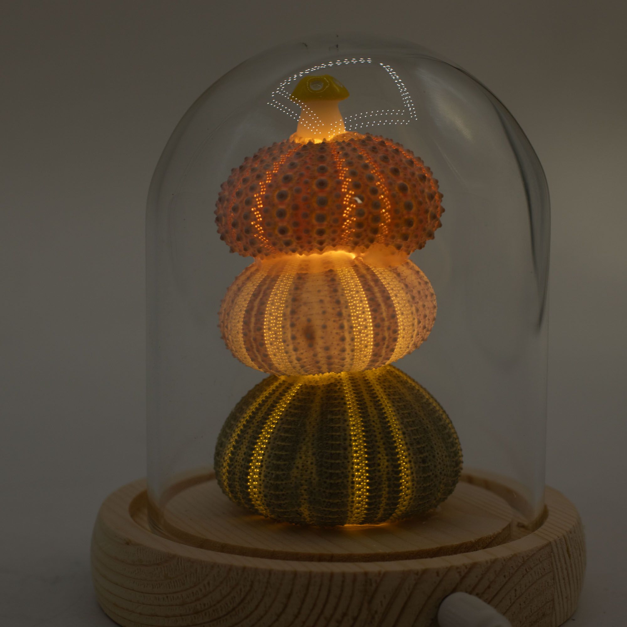 Floral Glow Garden Dome - Sea Urchins