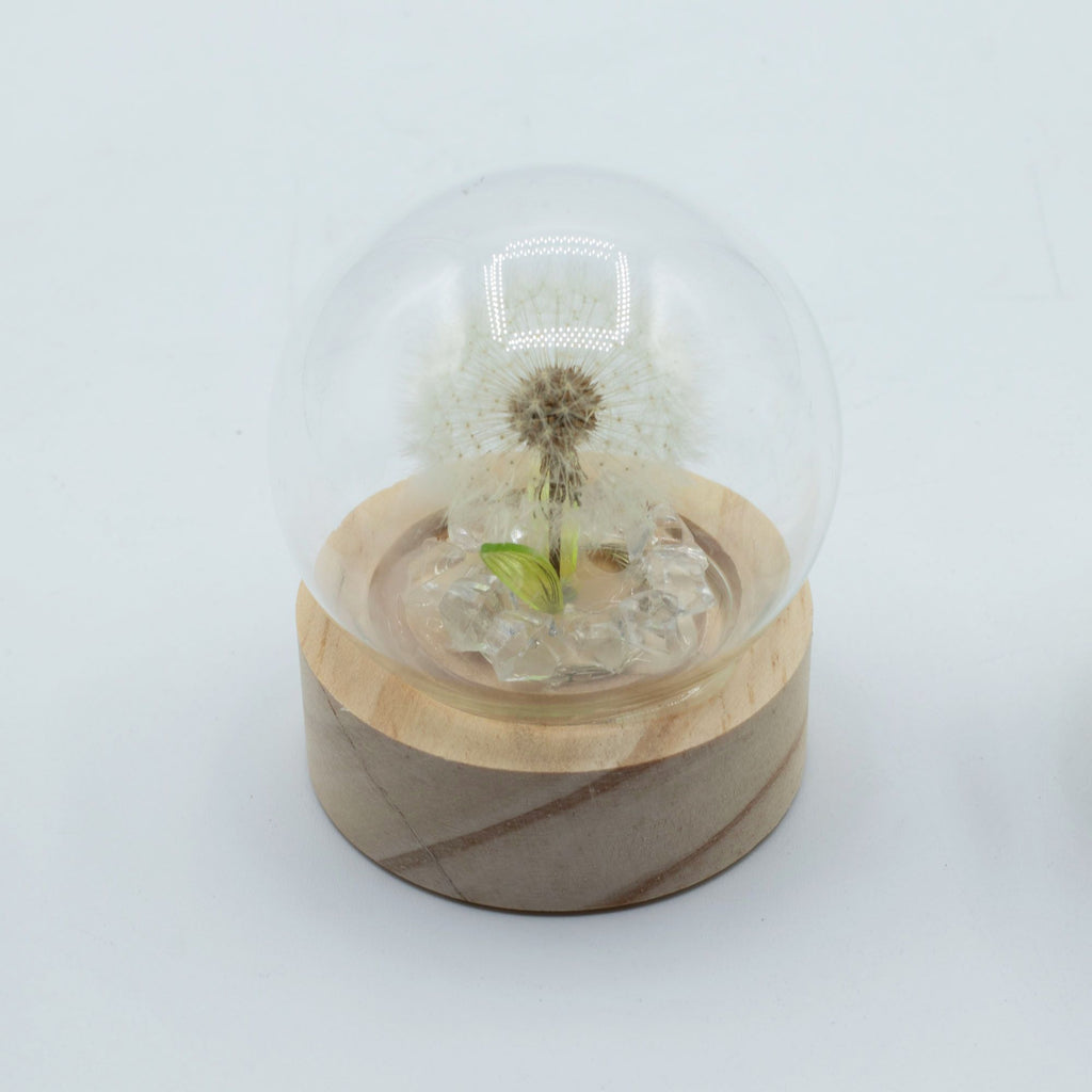 Floral Glow Garden Dome - Dandelion