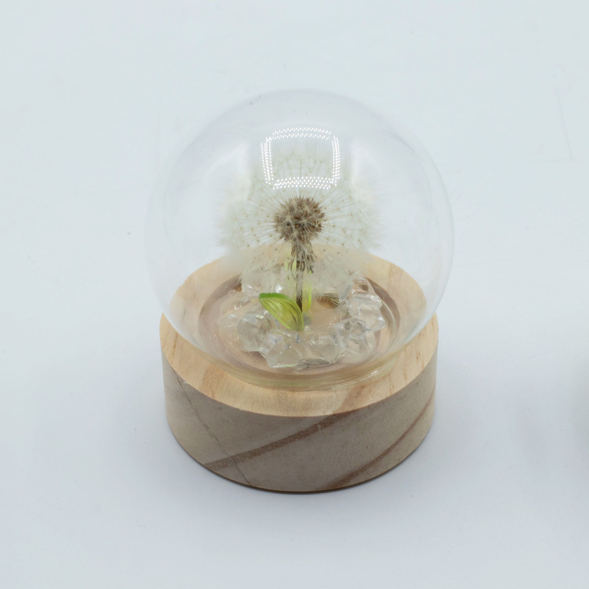 Floral Glow Garden Dome - Dandelion