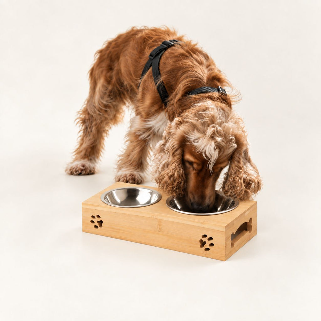 PAW Food Bowls - Double Stainless Steel in Wooden Stand - 2x12cm