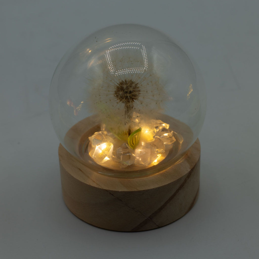 Floral Glow Garden Dome - Dandelion