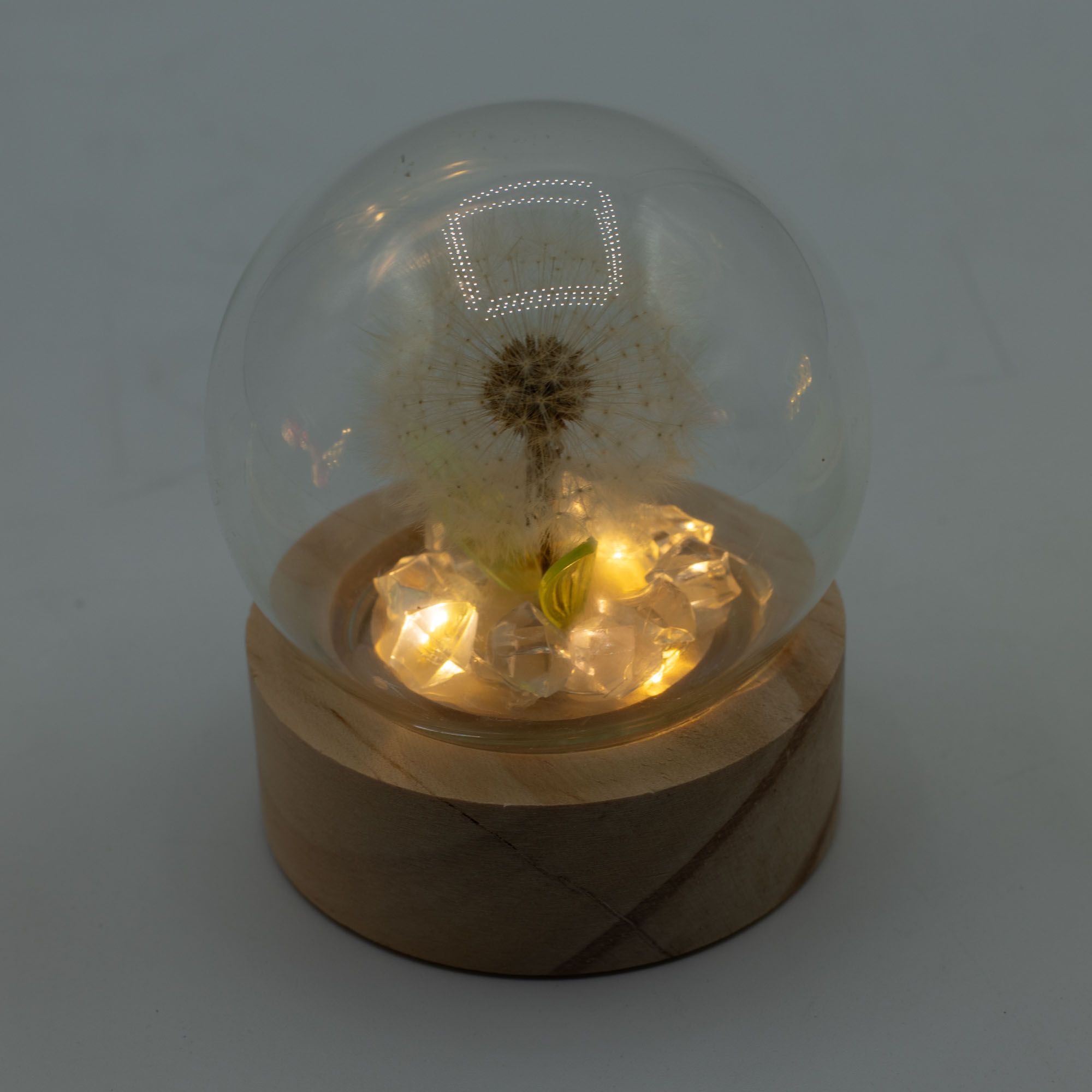 Floral Glow Garden Dome - Dandelion
