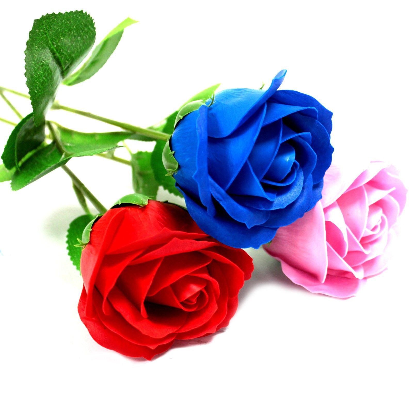 Single Rose