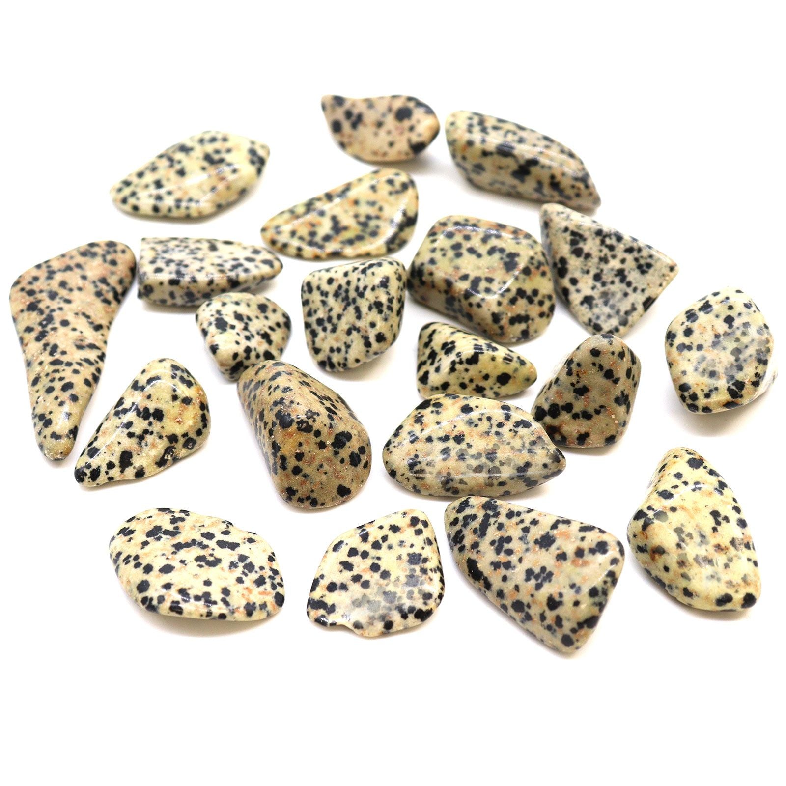 Large Tumble Stones - Dalmatian Stone