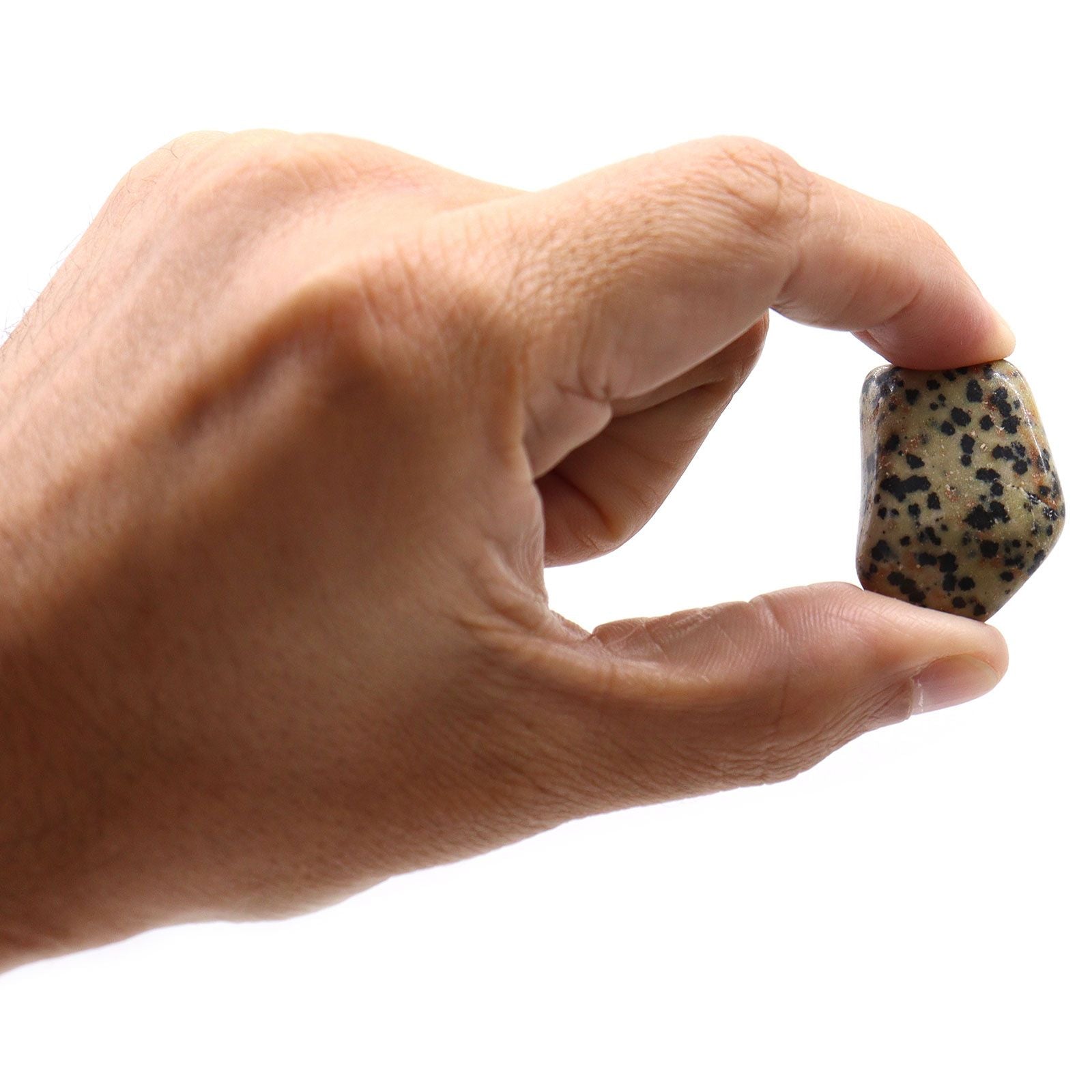 Large Tumble Stones - Dalmatian Stone