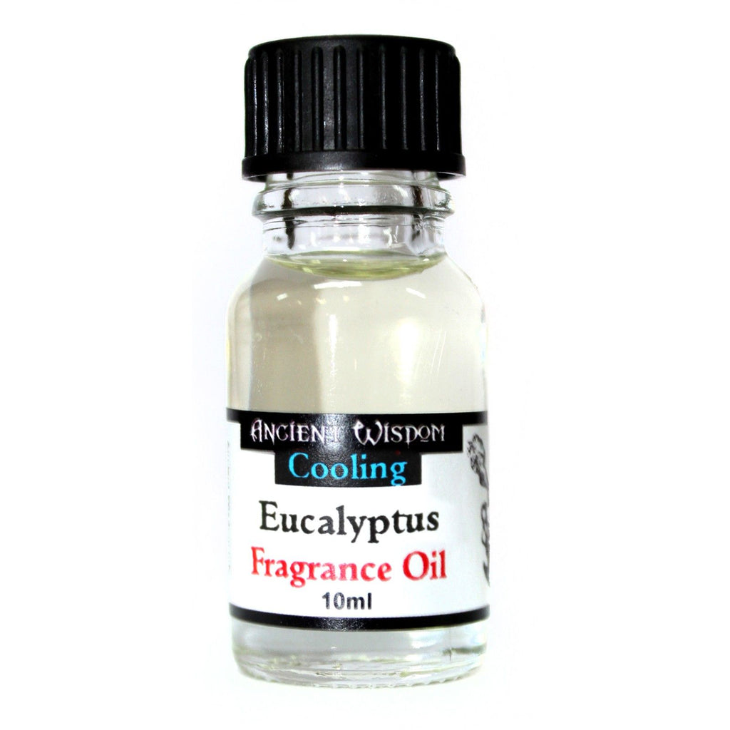 10ml Eucalyptus Fragrance Oil (Pack of 5)