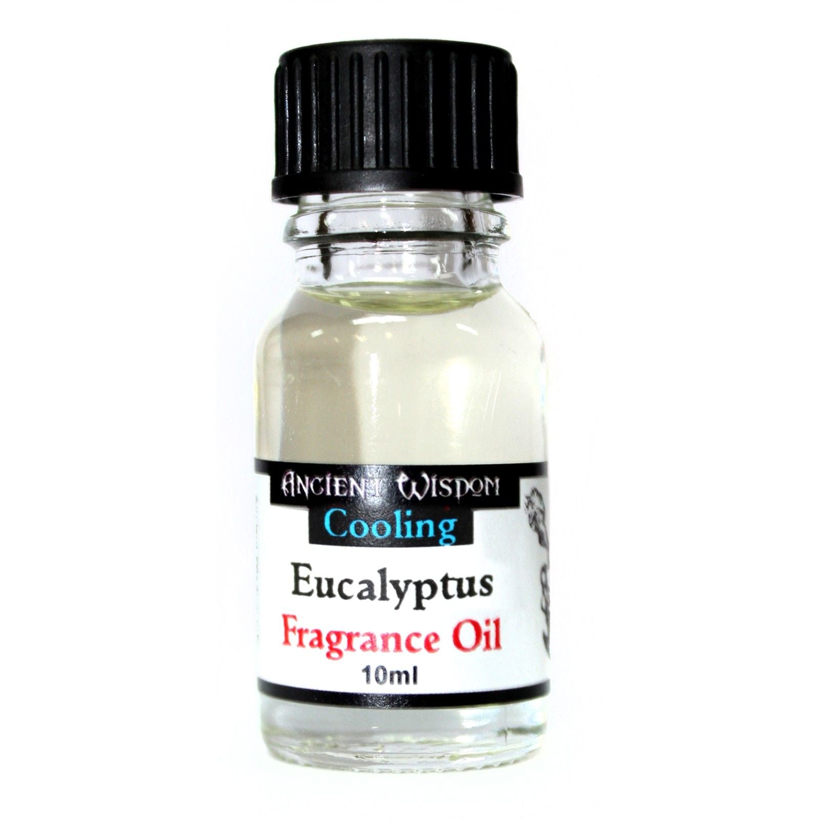 10ml Eucalyptus Fragrance Oil (Pack of 5)