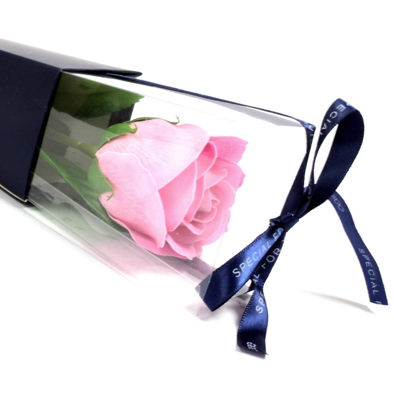 Single Rose